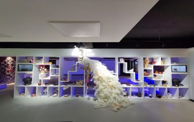 滇菜数据库及滇菜食材展示中心项目顺利通过验收